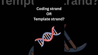 Coding Strand Vs Template Strand | NEET |NCERT |AP Biology