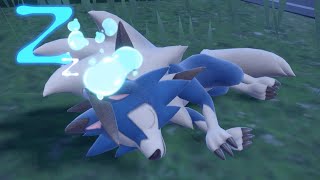 Shiny Dusk Form Lycanroc - Sandwich Encounter (Pokemon Violet)
