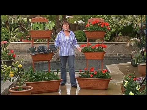 The Perfect Patio Planter-Small Space, Big Garden - YouTube