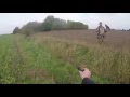 HARRIS HAWKS HUNTING. HAWKING WITH FERRETS. SEASON 15-16