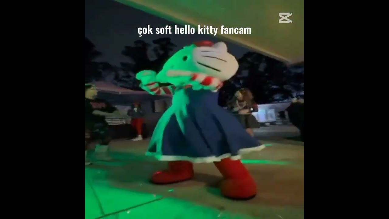 hello kitty fan