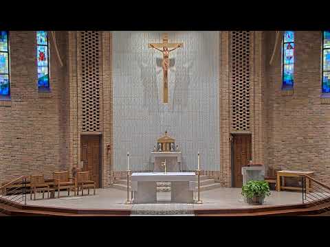 Daily Mass Wednesday - 8:15 AM - 08/12/2026