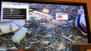 FPGA Real-Time Color Tracking (Position/Velocity/Acceleration) {VIDEO 1}