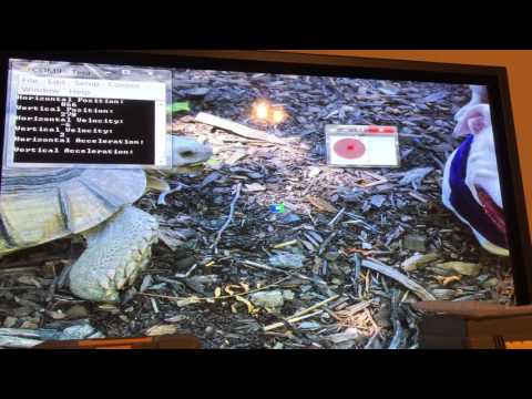 FPGA Real-Time Color Tracking (Position/Velocity/Acceleration) {VIDEO 1}