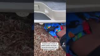 Coolant leak in back of 2004 Cadillac Escalade, woman found the problem Coolant leak in back of 2004 Cadillac Escalade, woman found the problem