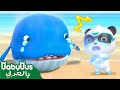 كيكي انقاذ الحوت الصغير | كرتون اطفال | بيبي باص | BabyBus Arabic