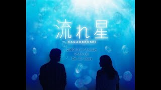 Download lagu Nagareboshi 03