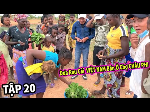(Tập 20) Nông Nghiệp VIỆT NAM ở Châu Phi | Thu Hoạch Mớ Rau Cải Đem Ra Chợ Châu Phi Bán và...Cái Kết