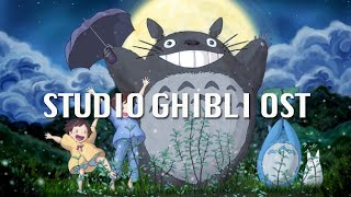 마음이 몽글몽글 해지는 스튜디오 지브리 OST 바이올린 커버 모음 / Studio Ghibli OST Violin Cover