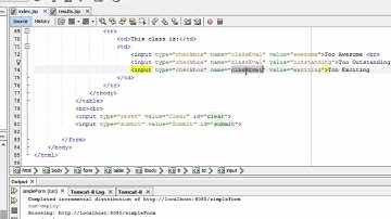 Adding radio buttons,  dropdown lists, and checkboxes to simple JSP forms