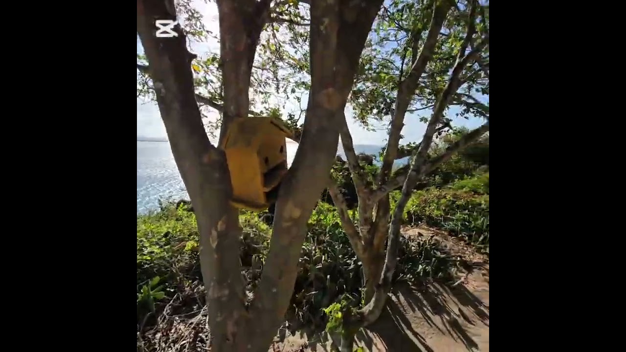 Libebula ⛱️ #nacala #mozambique 