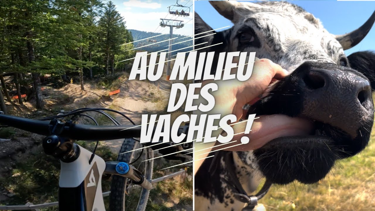 Une Journée au BikePark de La Bresse (crevaison, fuite...)