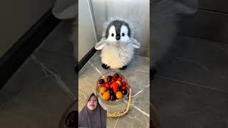 play and eat together with pinguin #greenscreen #singtogether