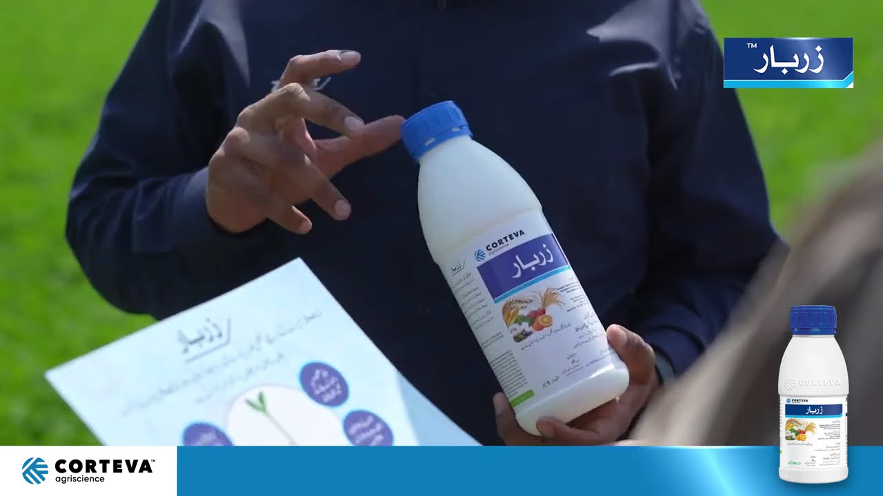 Akhter hussain Zaidi I Hujra I Zarbar Customer Feedback