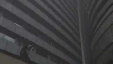 Is Cloud Next Contestant?