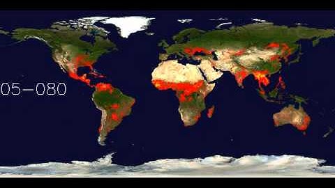 Modis fire map