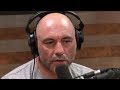 Joe Rogan - Can You Succeed Without Ego?