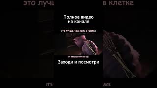 #cg5 #poppyplaytime #sleepwell #song "Sleep Well" Poppy Playtime: Chapter 3 НА РУССКОМ  часть