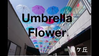 高校生の文化祭でインスタ映え!喜ばれるフォトスポットのアイデア集