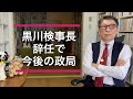 黒川氏辞任に伴う、安倍vs小池・二階氏がらみの政局予想