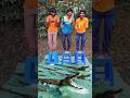 Catching Mystery Water Creatures Went TERRIBLY WRONG