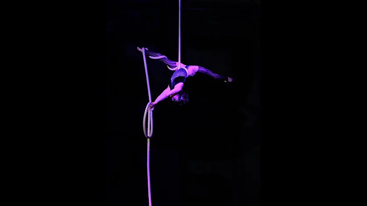 Cuz I Love You, Stephanie Reisfeld Shafer aerial r...