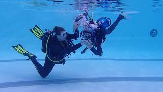 Buddy breathing skills practice in Tallahassee SCUBA instructor Gabrielle's class