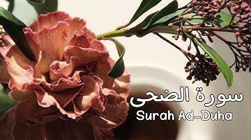 Surah Ad-Duha سورة الضحى كاملة مكرره