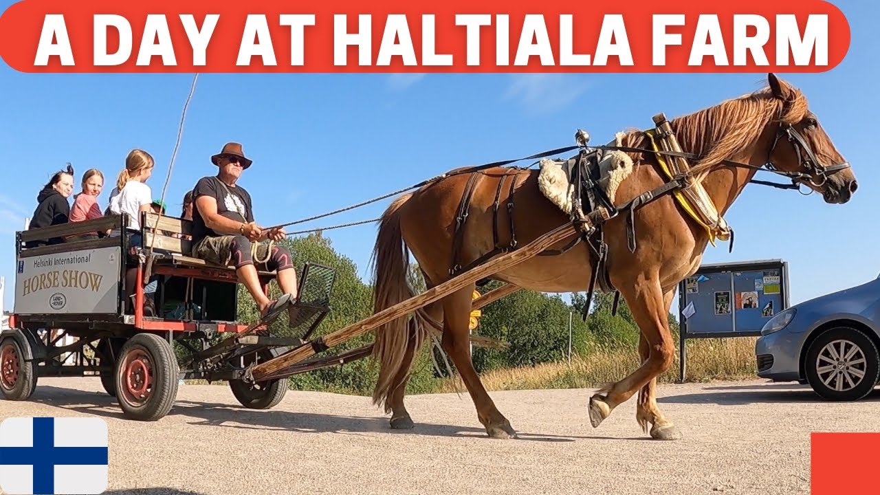 Paarth and Medha visit Haltiala Farm, Helsinki, Finland