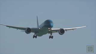 VN1  Vietnam airlines landing at Wellington Airport