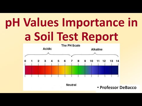 pH Values Importance in a Soil Test Report