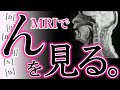 【６種類ある⁉︎】我々は「ん」をどうやって発音しているのか