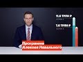 Программа Алексея Навального