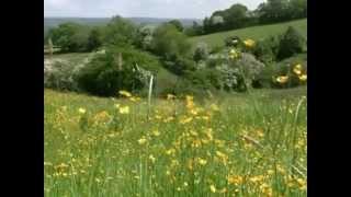 Lazy Countryside ::: Margaret Whiting.
Re-post from one of my old channels !..
Margaret Eleanor Whiting (July 22, 1924 – January 10, 2011) was a singer of American popular music and country music who first made her reputation during the 1940s and 1950s. Lazy Countryside ::: Margaret Whiting.