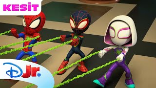 Kertenkele Ve Dinozor Iskeleti Marvel Spidey Ve İnanılmaz Arkadaşları Disney Kids Türkiye