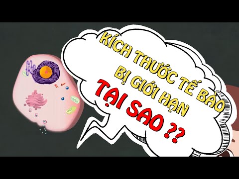 Video: Tại sao thành tế bào không sống?