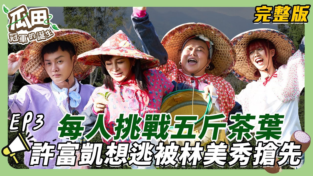【南投-大安】王彩樺化身「爽遊大地主」自在享樂 其他人累到快掛了！每人挑戰五斤茶葉 許富凱偷懶出奇招！卻被林美秀搶先技高一籌！｜瓜田冠軍的誕生 ｜ 20250122【第3集完整版】