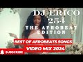 Afrobeat mix 2024l dj erico 254l ayra starrdavido tylaasakemayorkunfavevictonygyakie