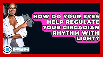 How Do Your Eyes Help Regulate Your Circadian Rhythm With Light? - Optometry Knowledge Base