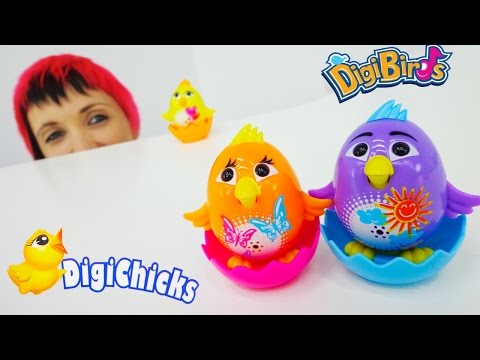 Птенчики DigiChiks. Интерактивные Поющие птички Digibirds