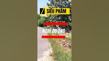 Đất Dầu Tiếng I Một siêu phẩm làm view nghĩ dưỡng 15 × 85 ( Tc 100 ) giá ngộp #datdautieng