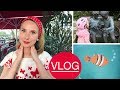 VLOG:Влог Наша дружная семья, погодки, детская фреска