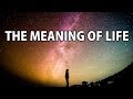 Misinformed - The Meaning of Life