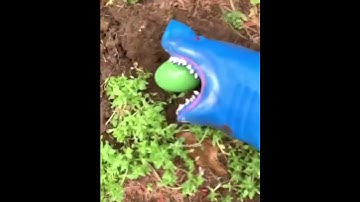 Shark Puppet Easter Egg Hunt