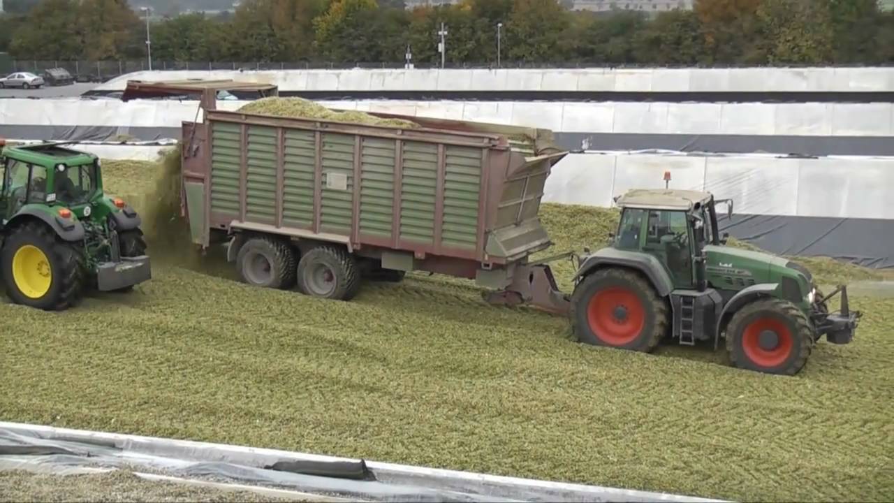 Mais Häckseln für die Biogasanlage Ronnenberg (Hannover)