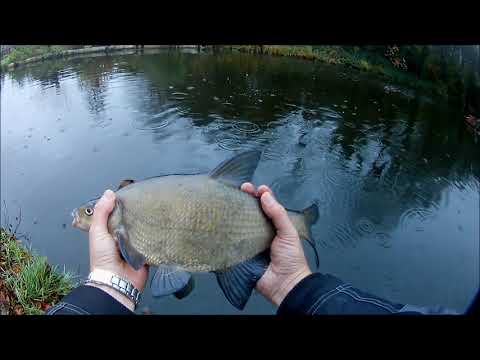 033# Soms gaat het even anders