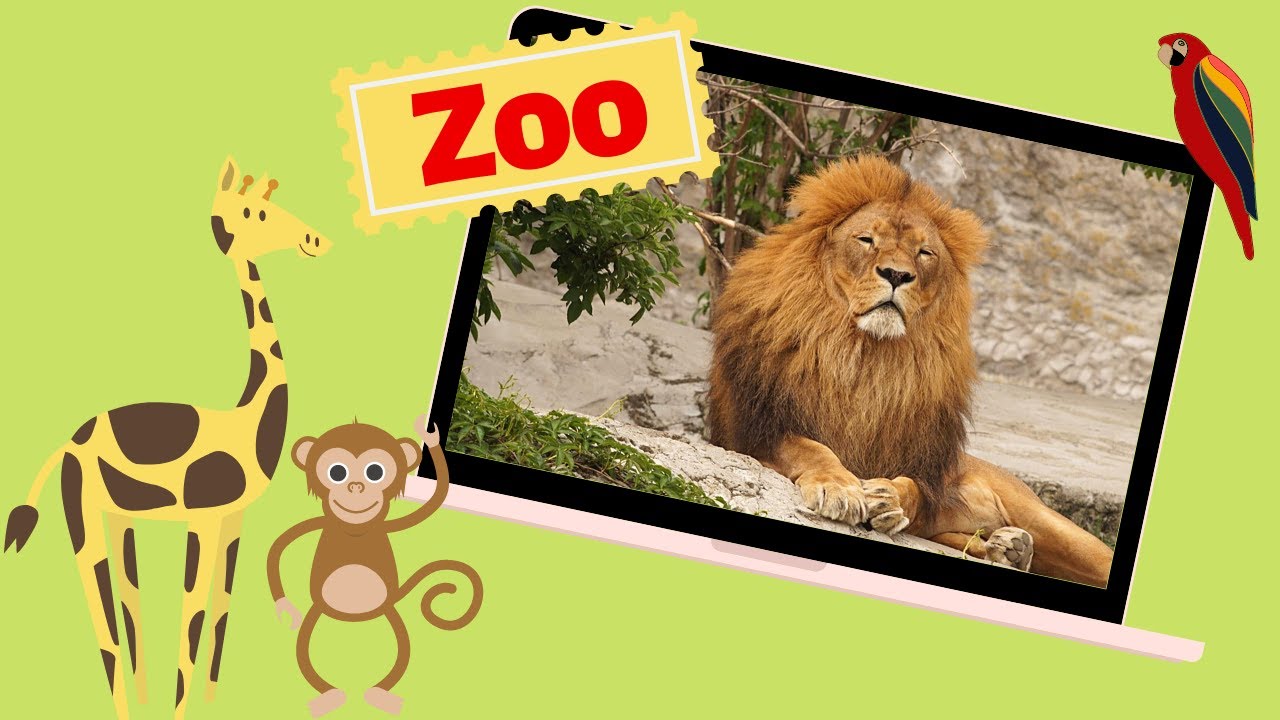 Educational Video - Zoo Animals - At the Zoo - English for Kids - Kids  Vocabulary - YouTube