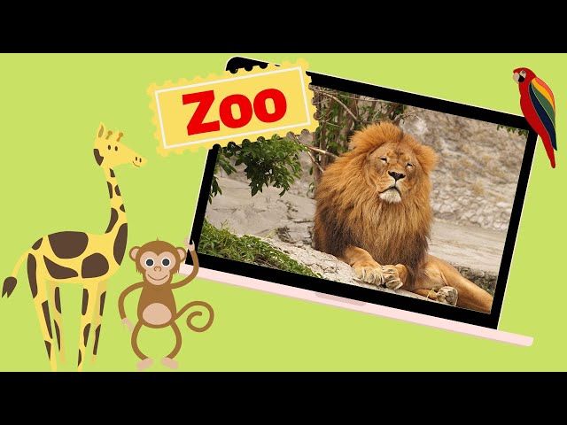 Educational Video - Zoo Animals - At the Zoo - English for Kids - Kids Vocabulary class=