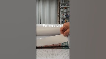 The Magic Moment: Monotype Print Revealed | Printmaking