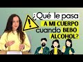🤔¿QUÉ LE PASA A MI CUERPO CUANDO CONSUMO ALCOHOL ?🍻🍷🍸🍹👉EFECTOS DE SU CONSUMO